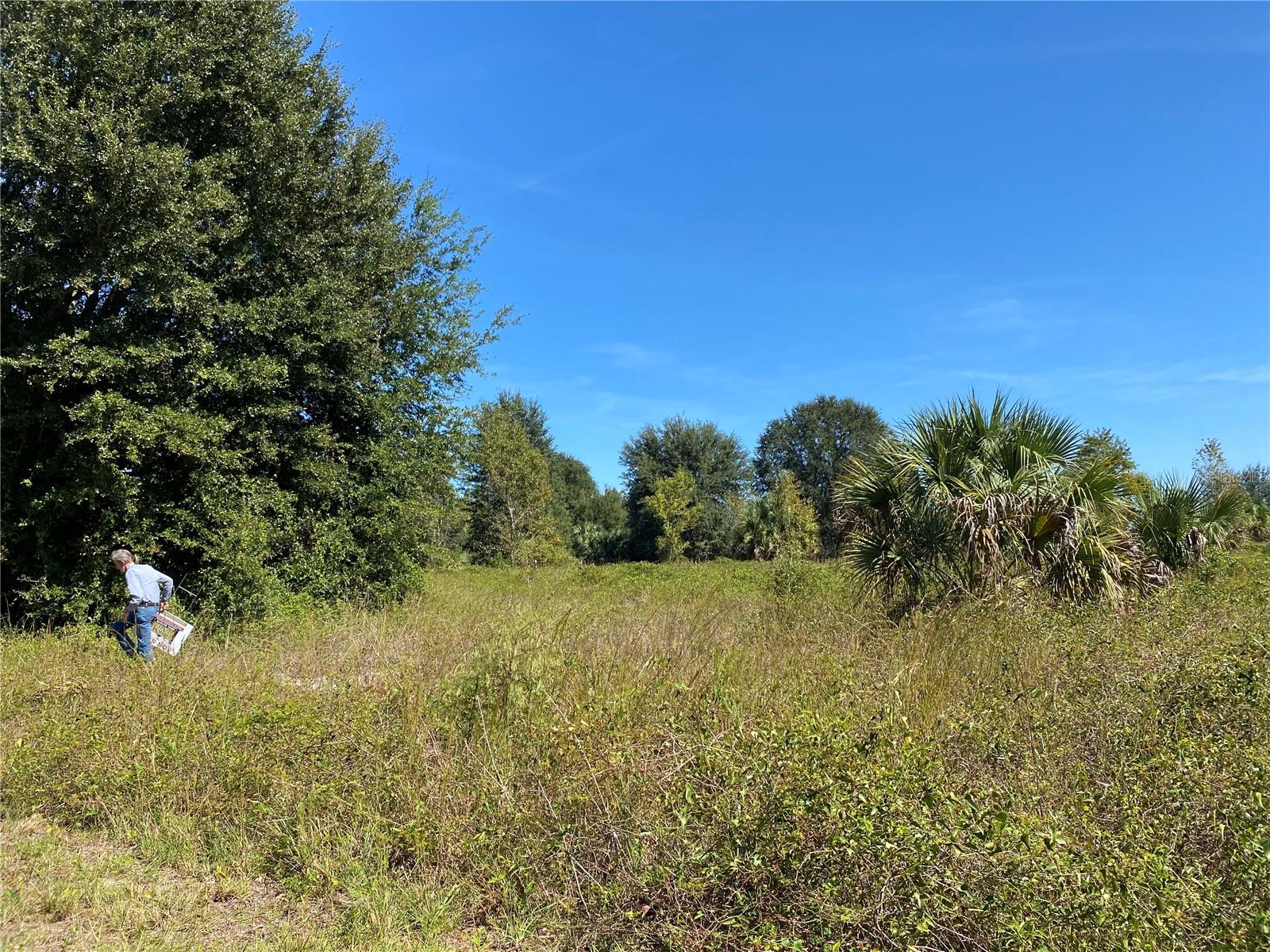 Image 5 of 5 For Xxxx 3rd Ct