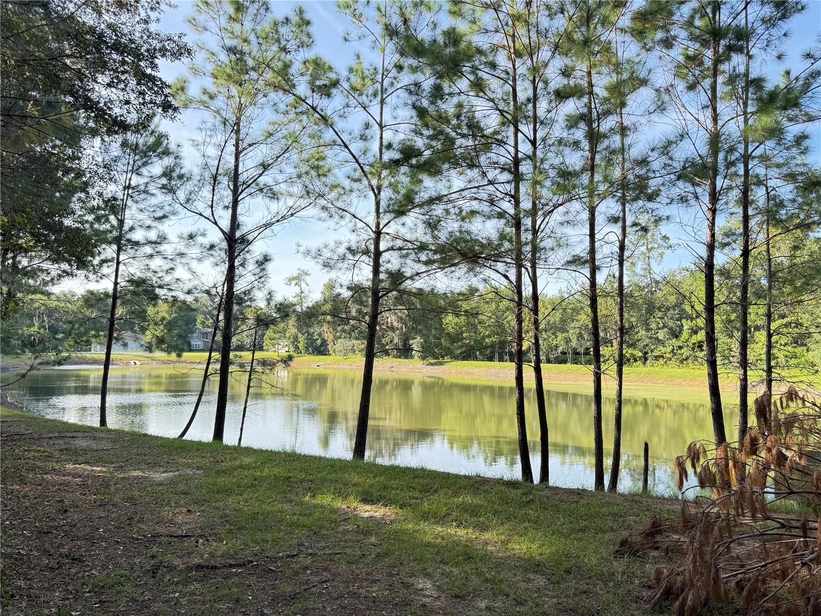 Details for  47th Street , OCALA, FL 34480