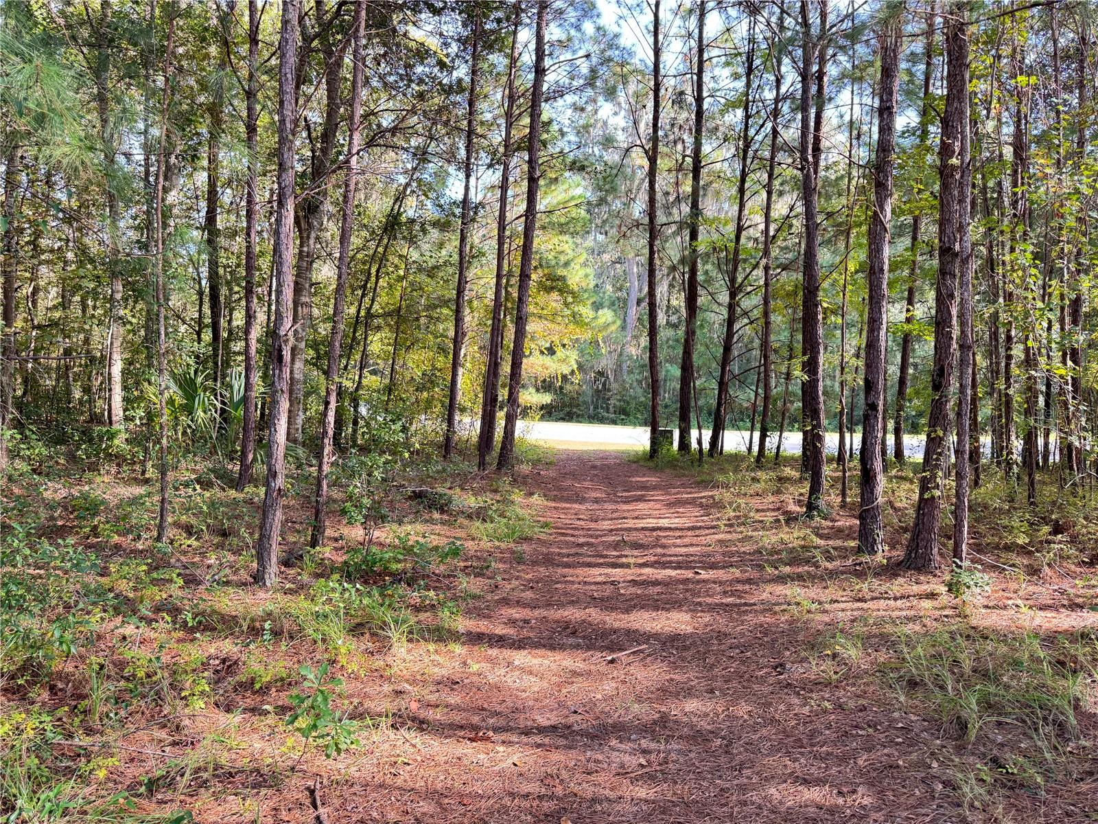 Image 2 of 10 For  47th Street 