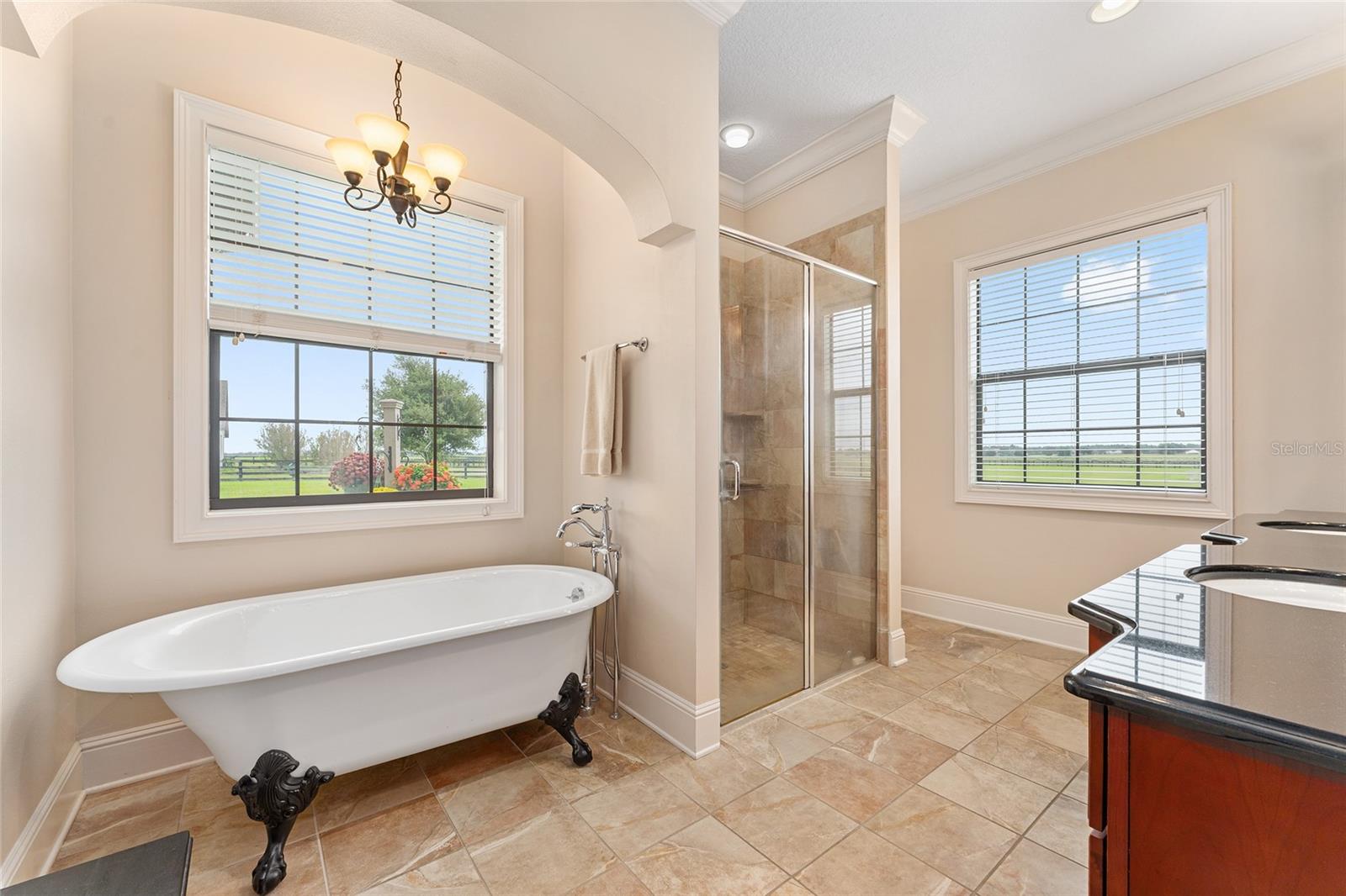 Image 47 of 55 For Address Not Provided