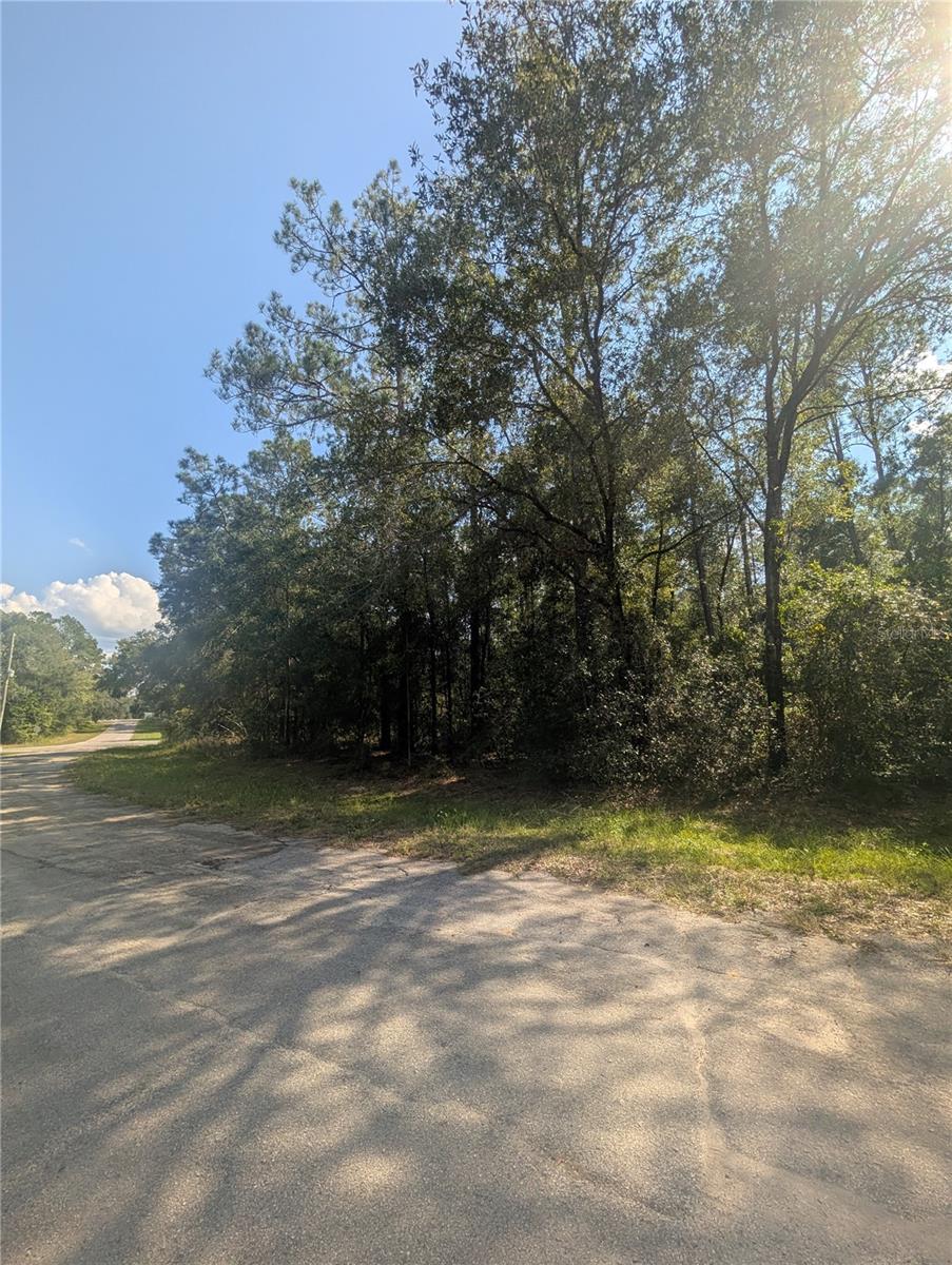 Image 2 of 9 For 10484 Holcomb Drive