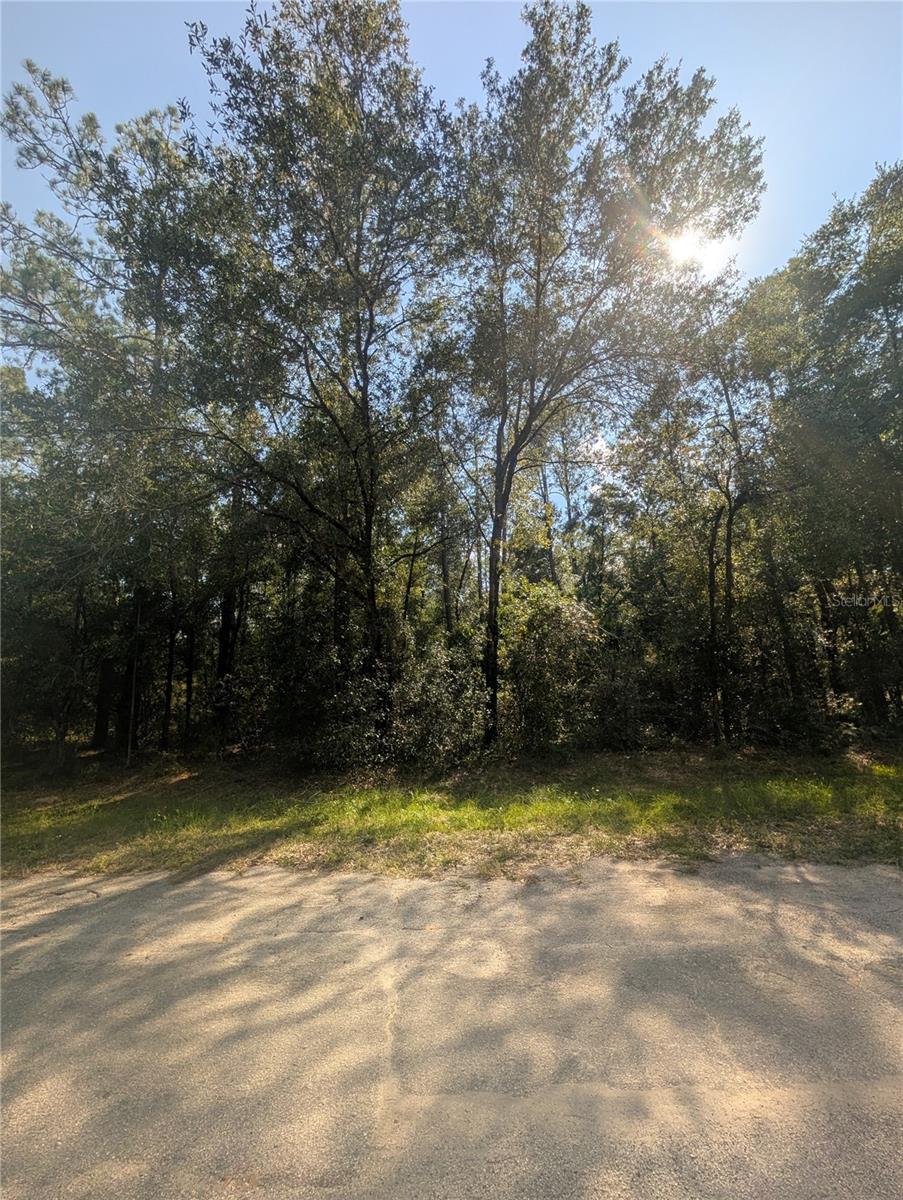 Image 3 of 9 For 10484 Holcomb Drive