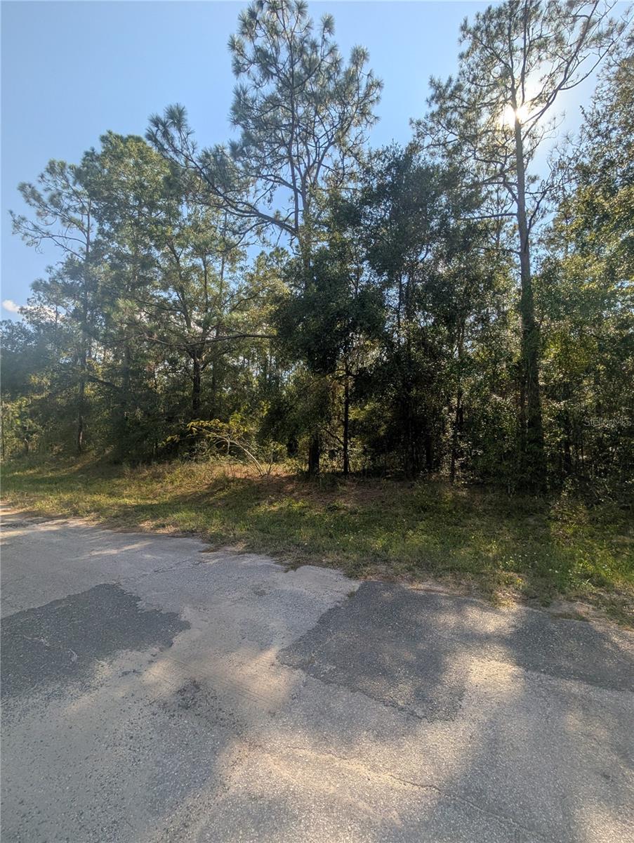 Image 4 of 9 For 10484 Holcomb Drive