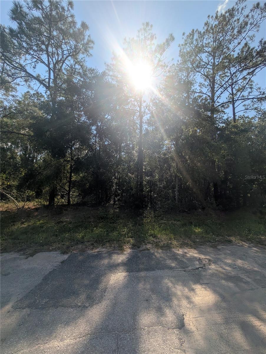 Image 5 of 9 For 10484 Holcomb Drive