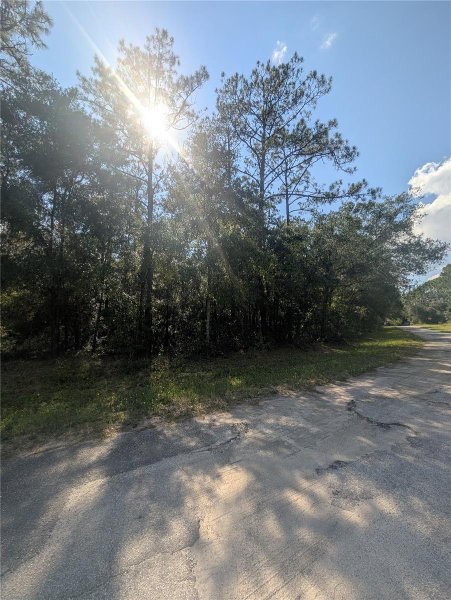 Image 6 of 9 For 10484 Holcomb Drive