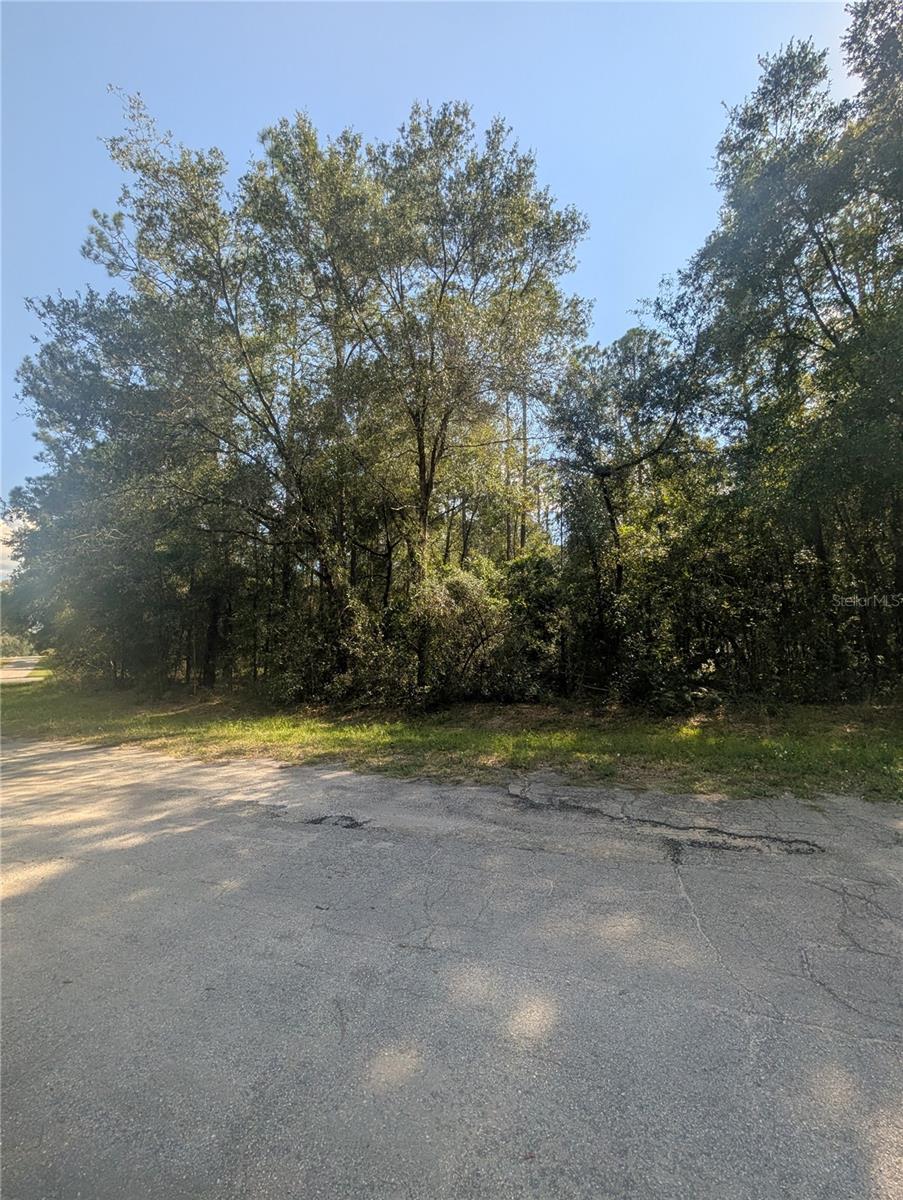 Image 7 of 9 For 10484 Holcomb Drive