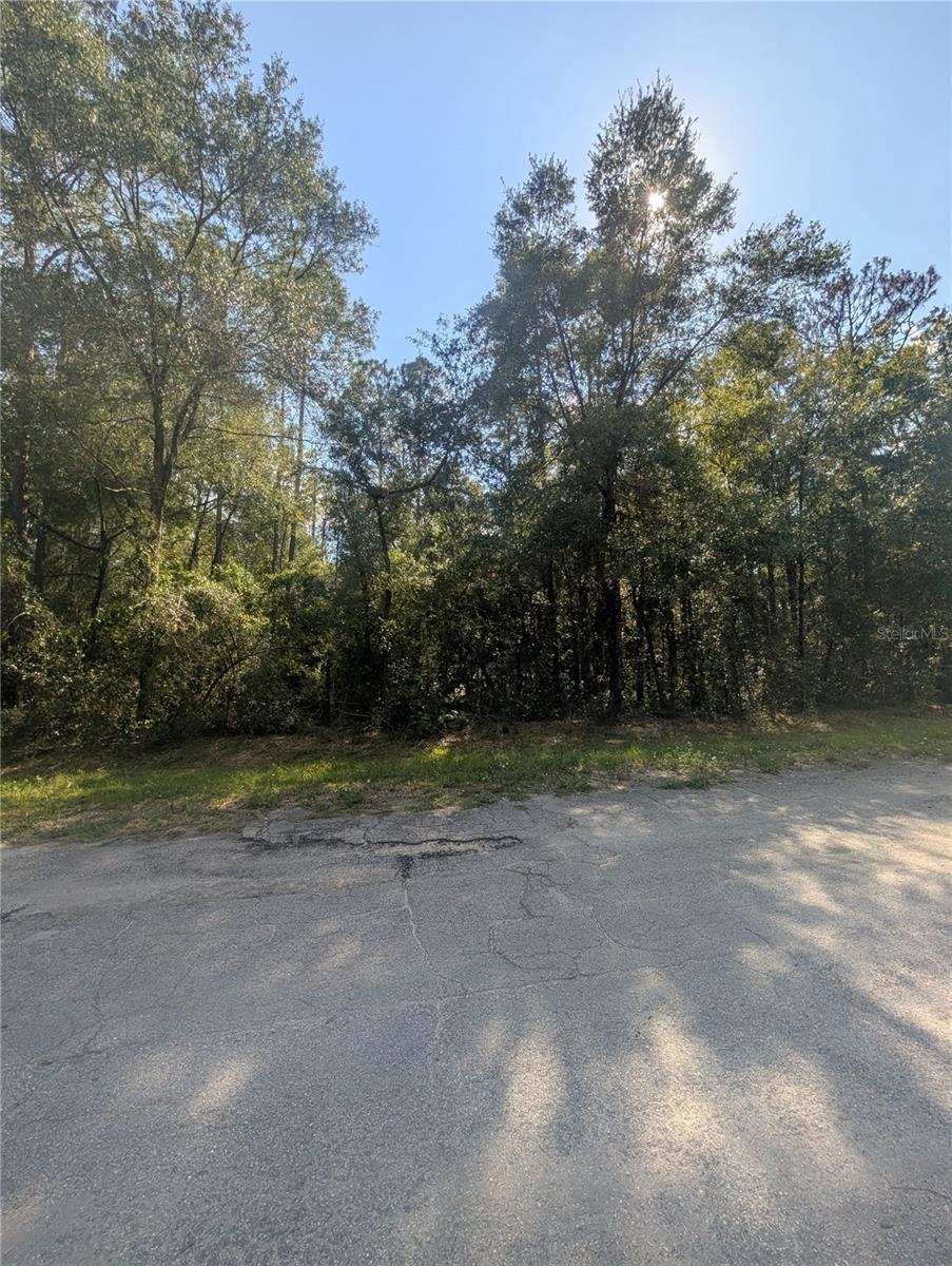 Image 8 of 9 For 10484 Holcomb Drive