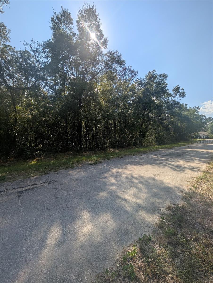 Image 9 of 9 For 10484 Holcomb Drive