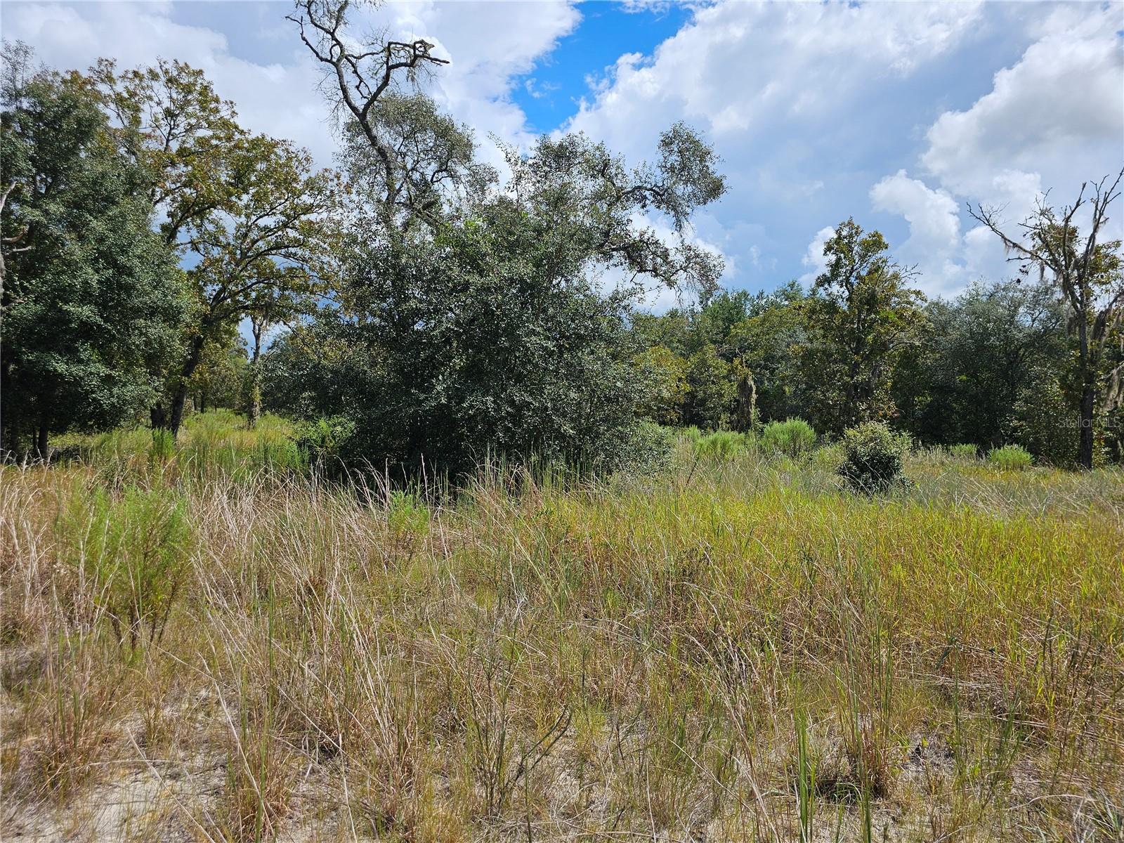 Image 11 of 16 For 4929 Portulaca Court