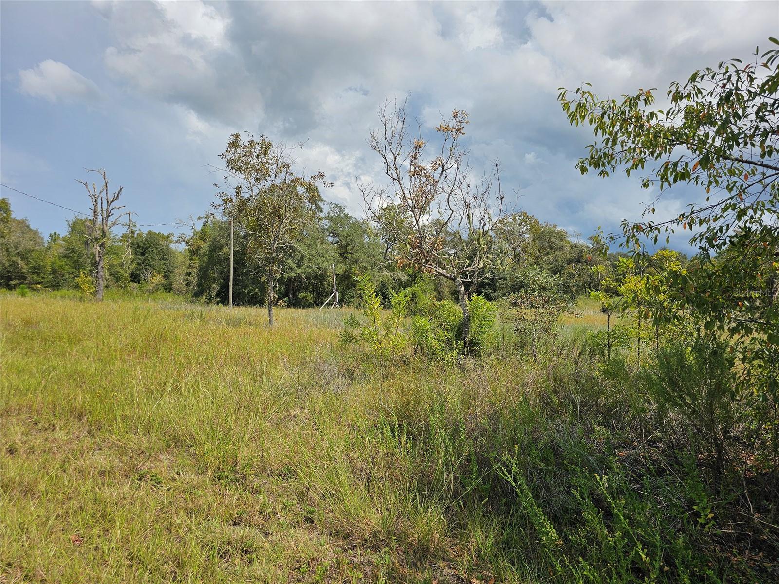 Image 4 of 16 For 4929 Portulaca Court