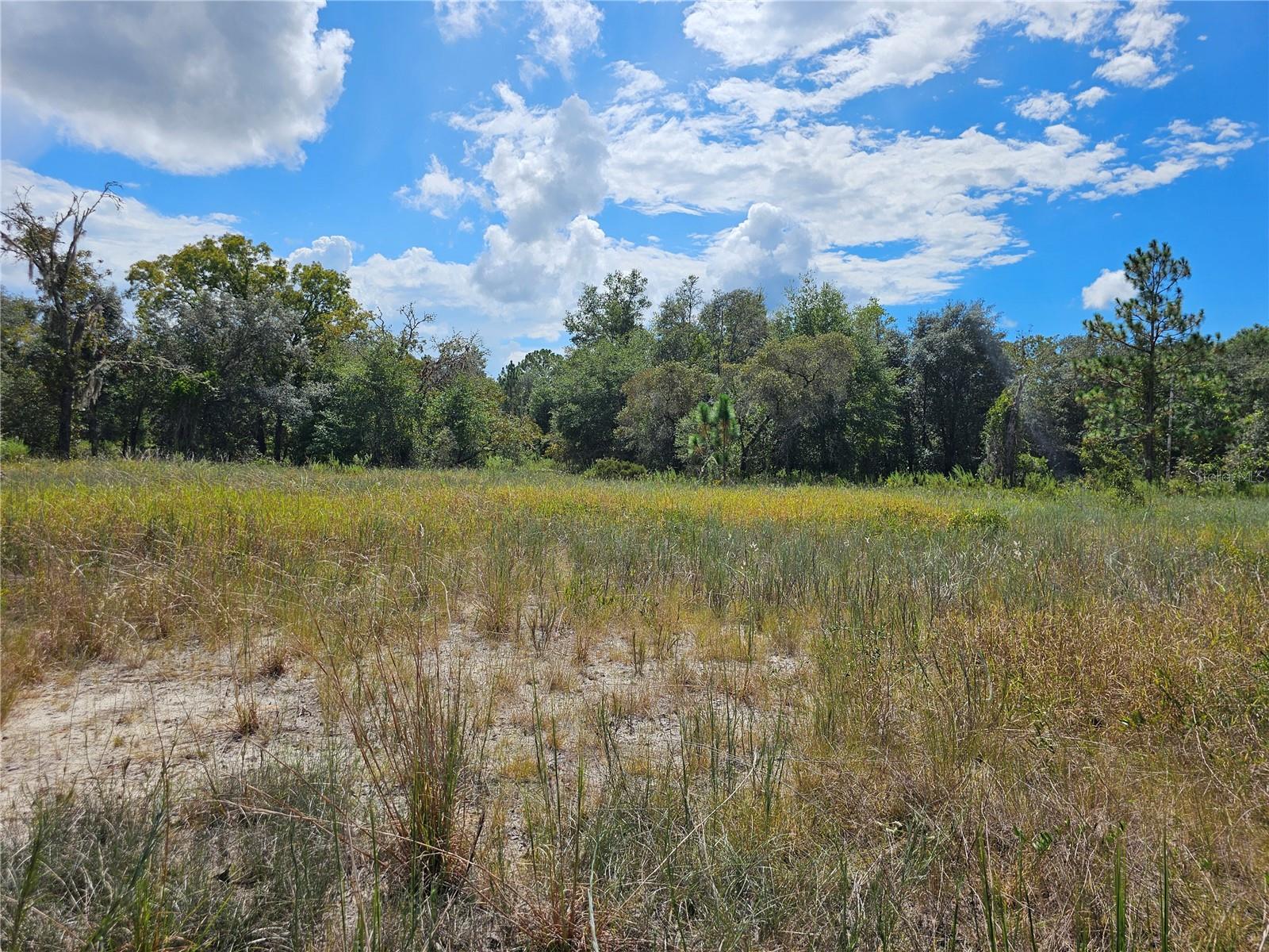 Image 5 of 16 For 4929 Portulaca Court
