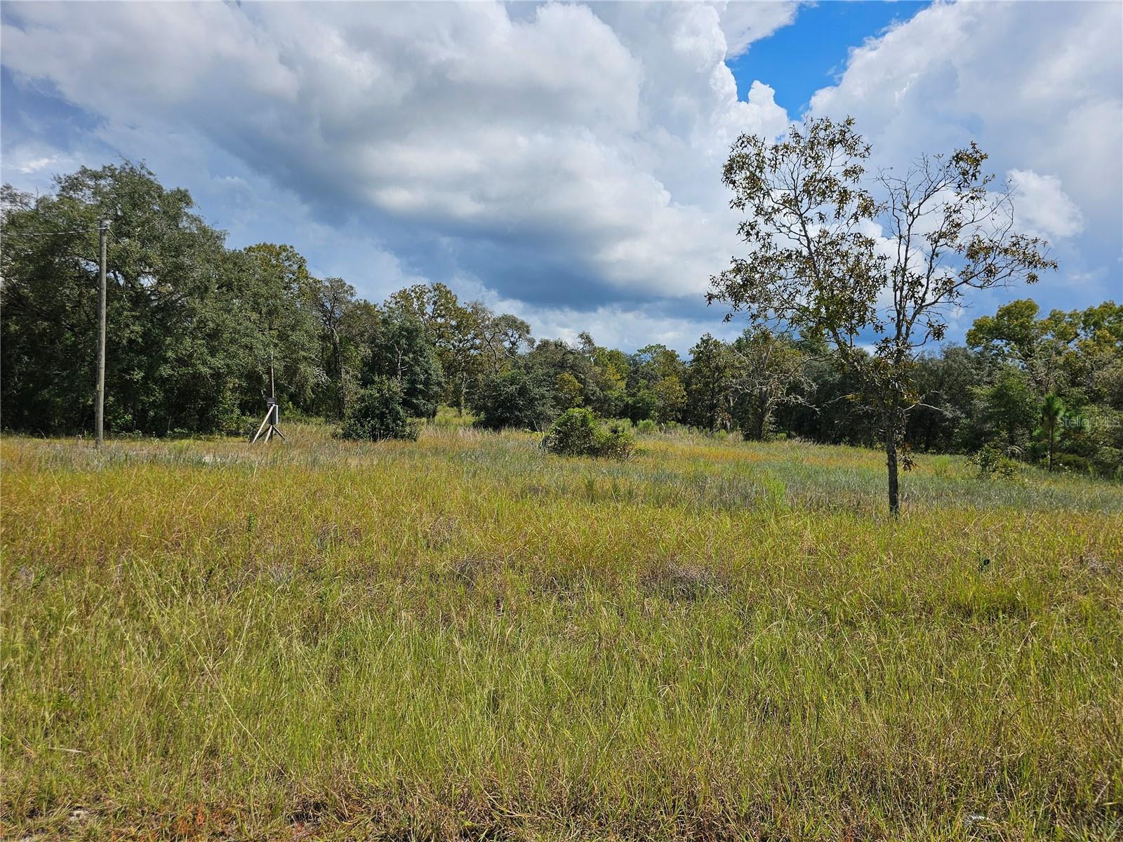 Image 8 of 16 For 4929 Portulaca Court