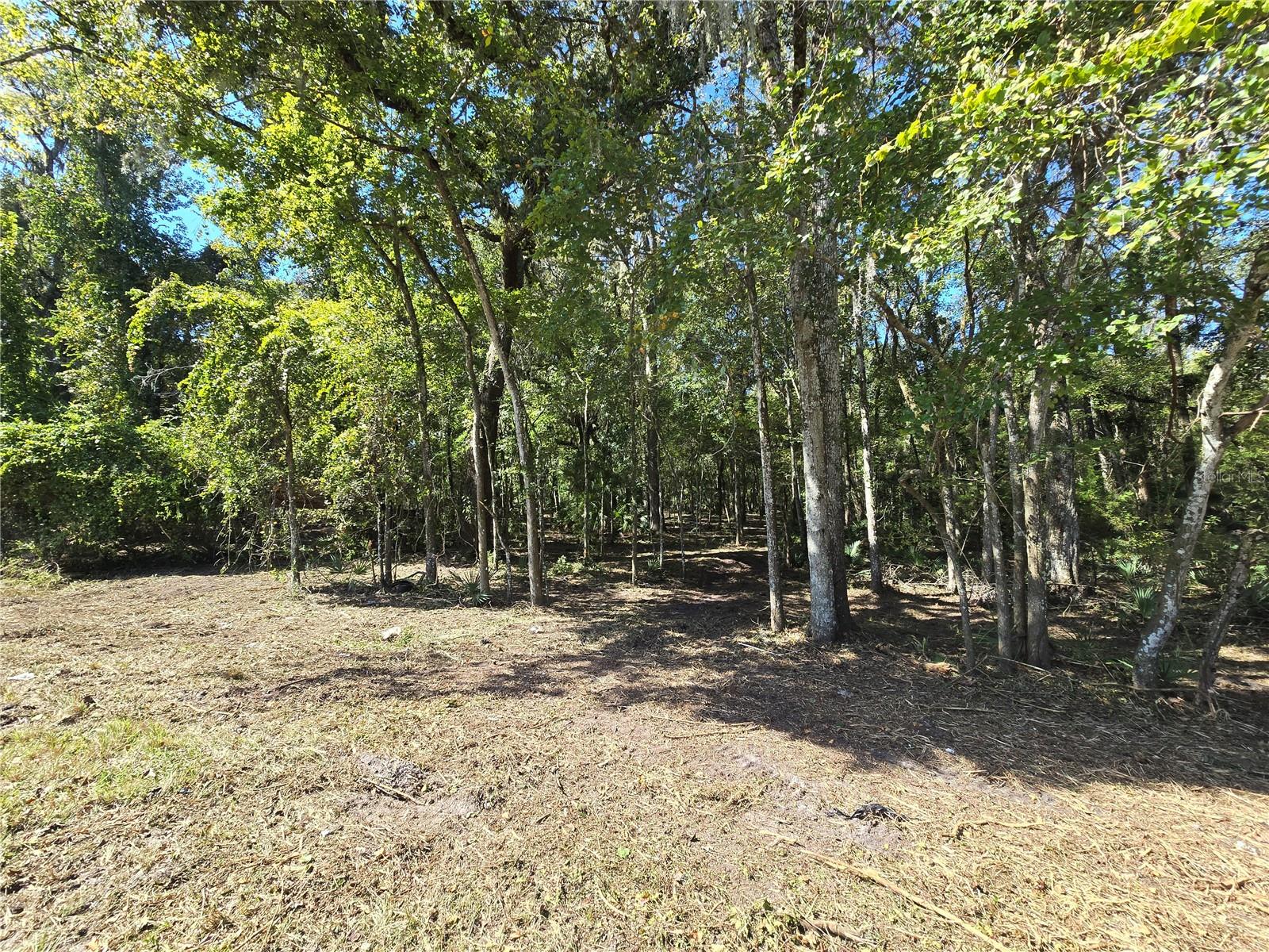 Image 10 of 30 For  Us 301