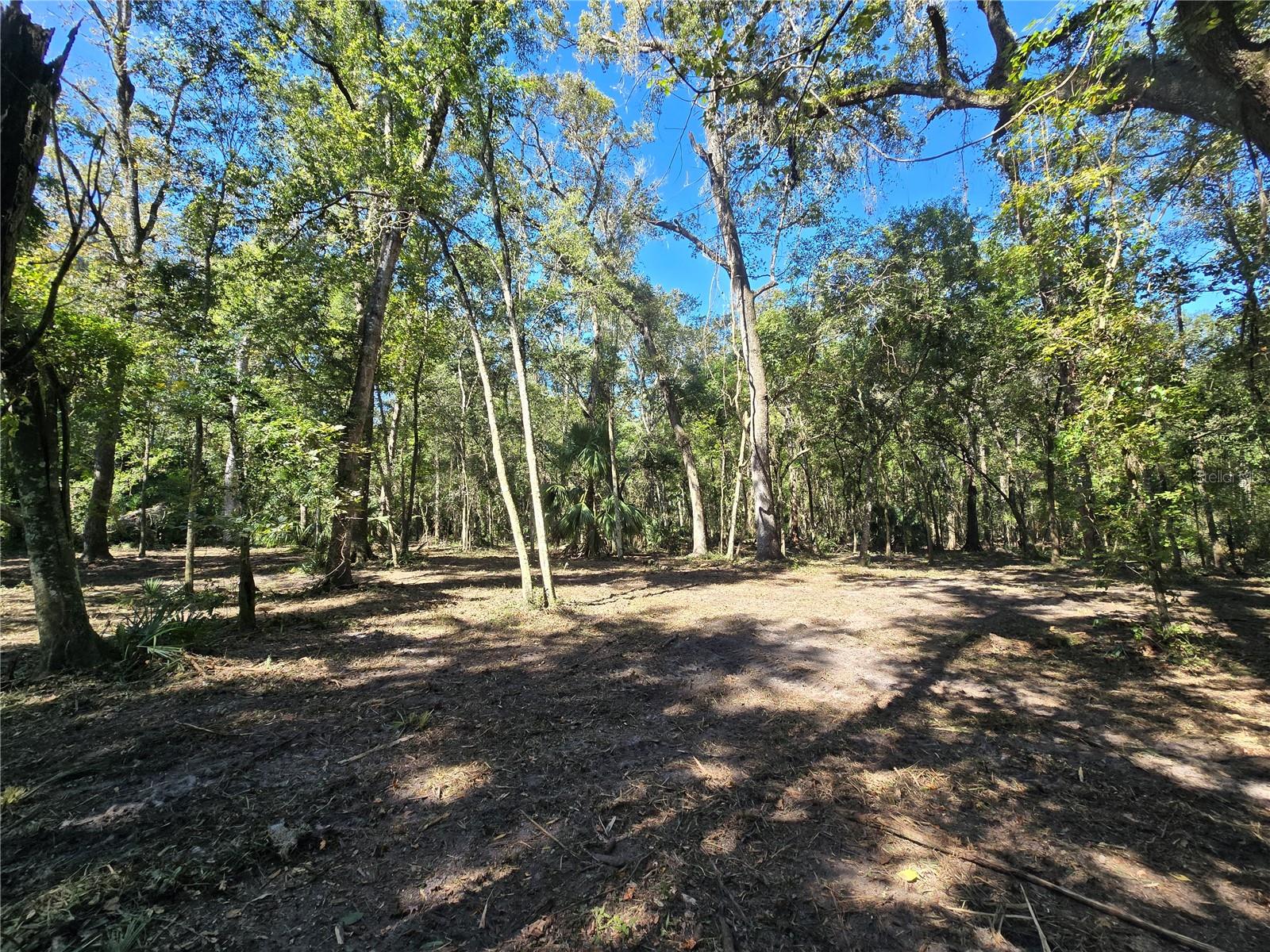 Image 11 of 30 For  Us 301