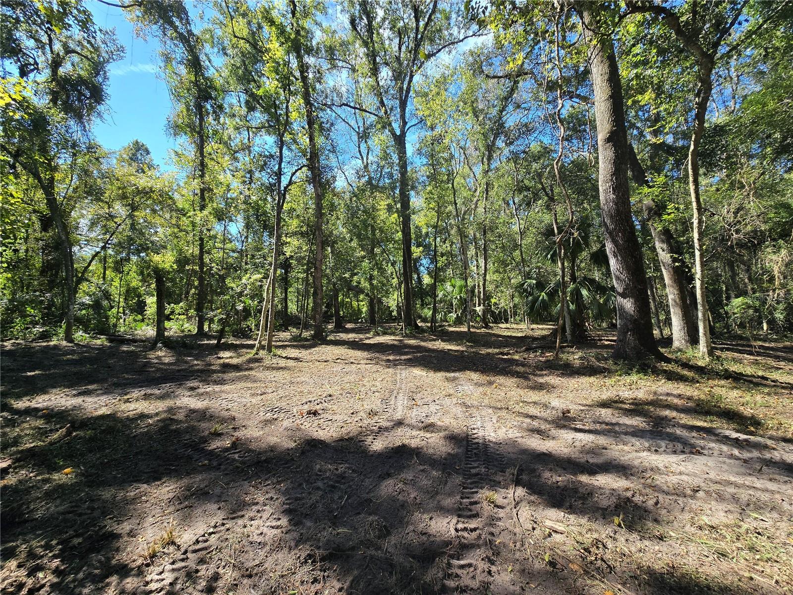 Image 12 of 30 For  Us 301