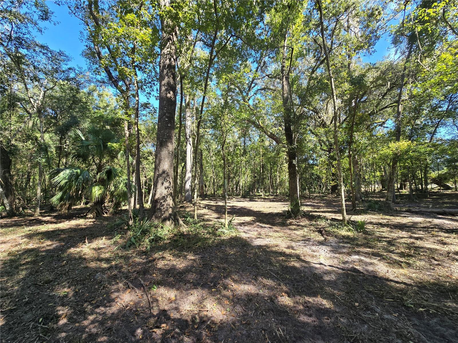 Image 14 of 30 For  Us 301