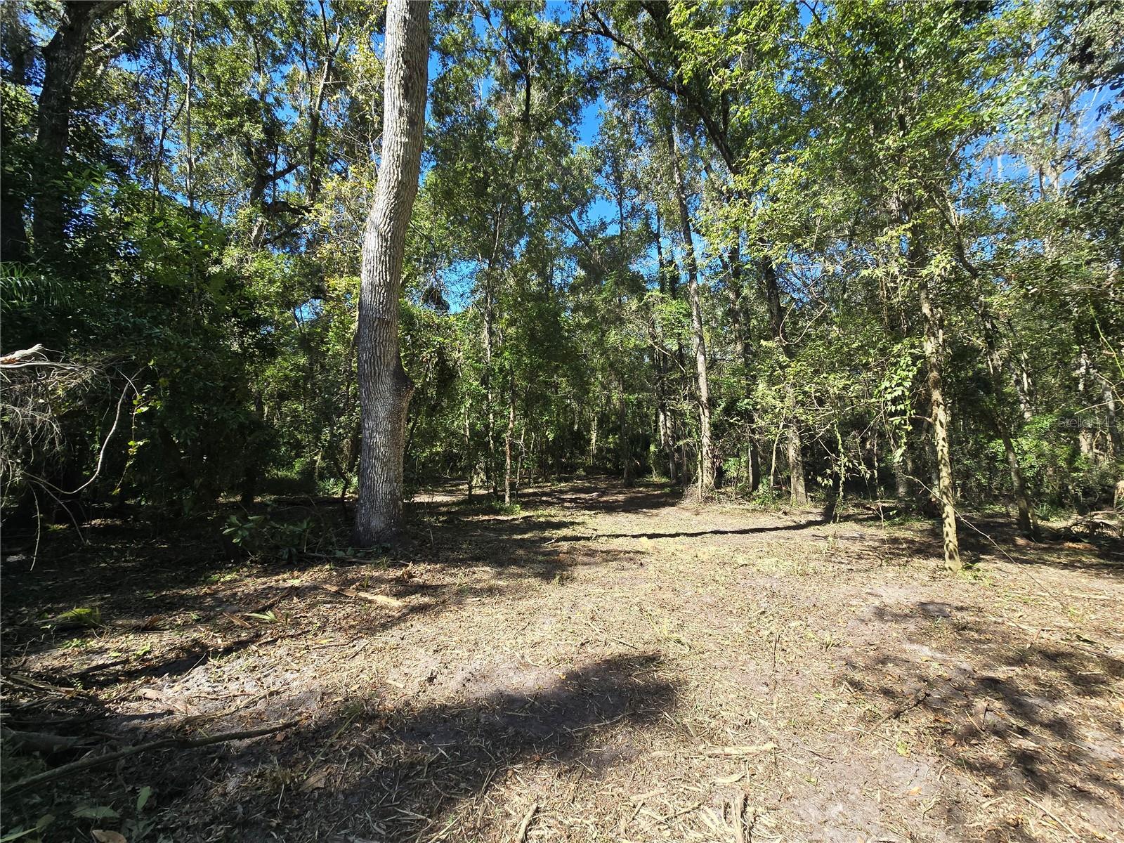 Image 15 of 30 For  Us 301