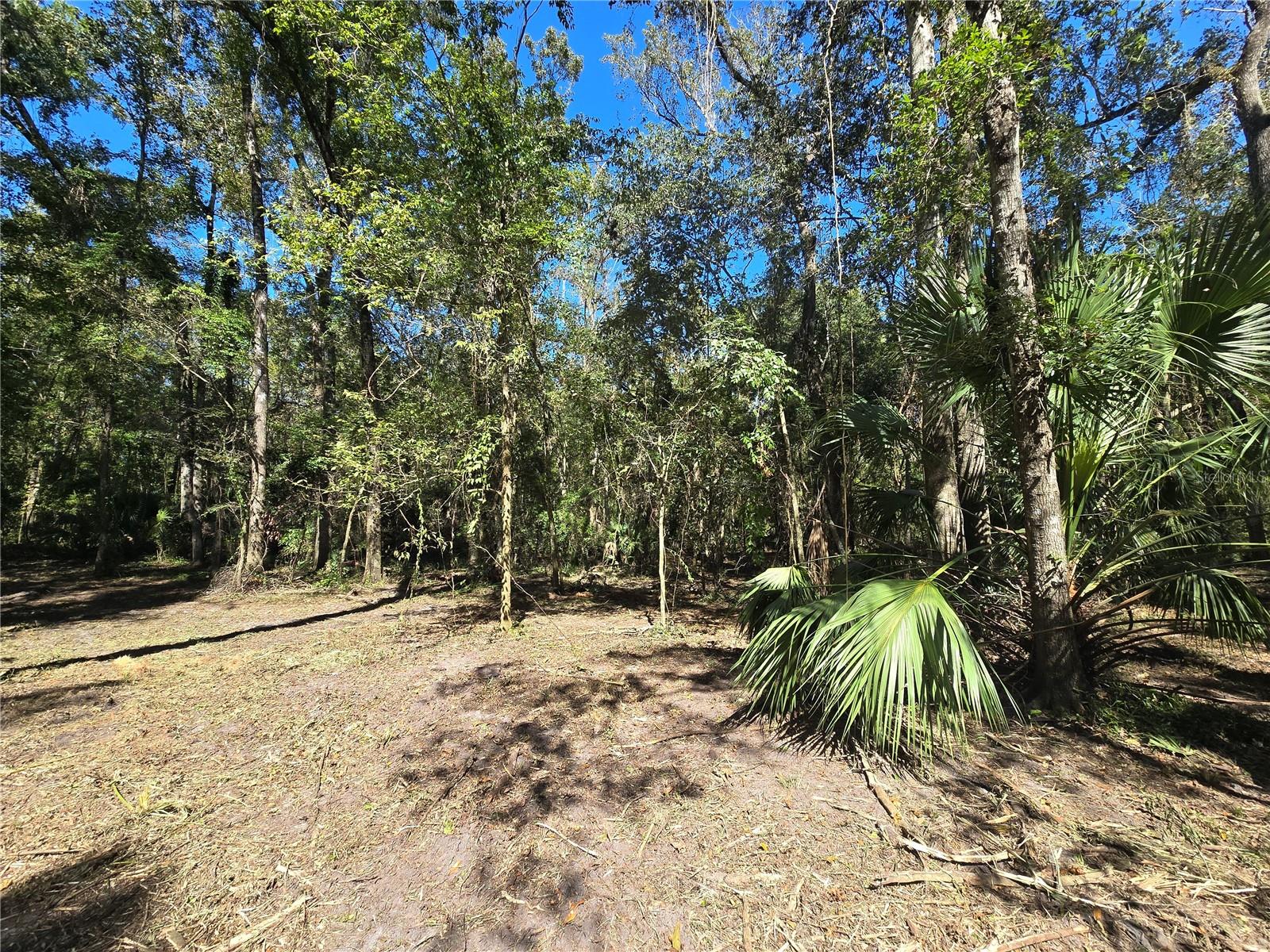 Image 16 of 30 For  Us 301