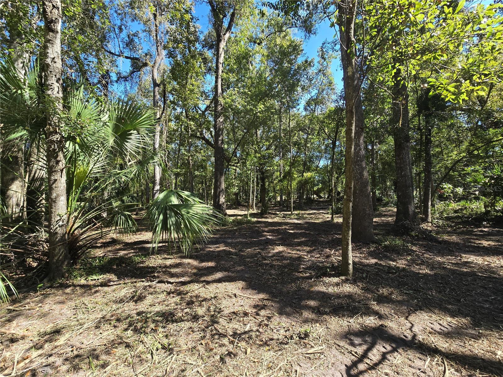 Image 17 of 30 For  Us 301