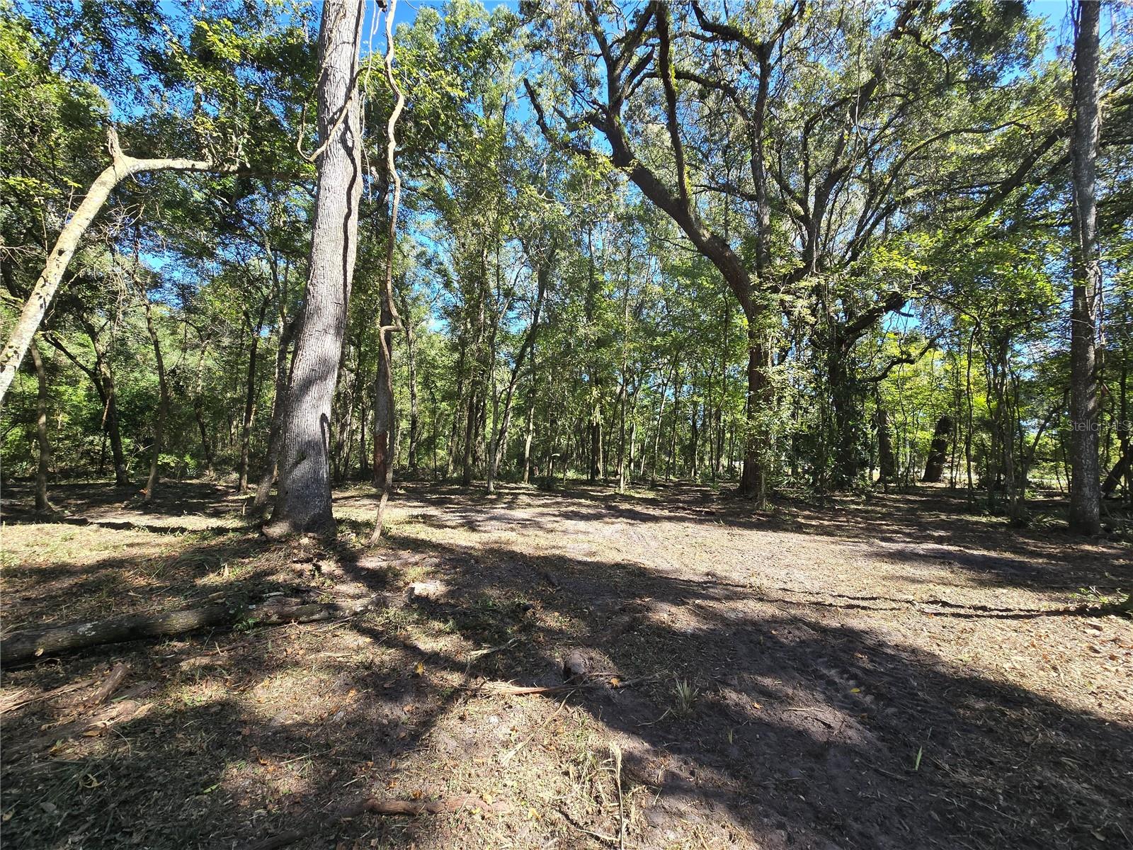 Image 19 of 30 For  Us 301