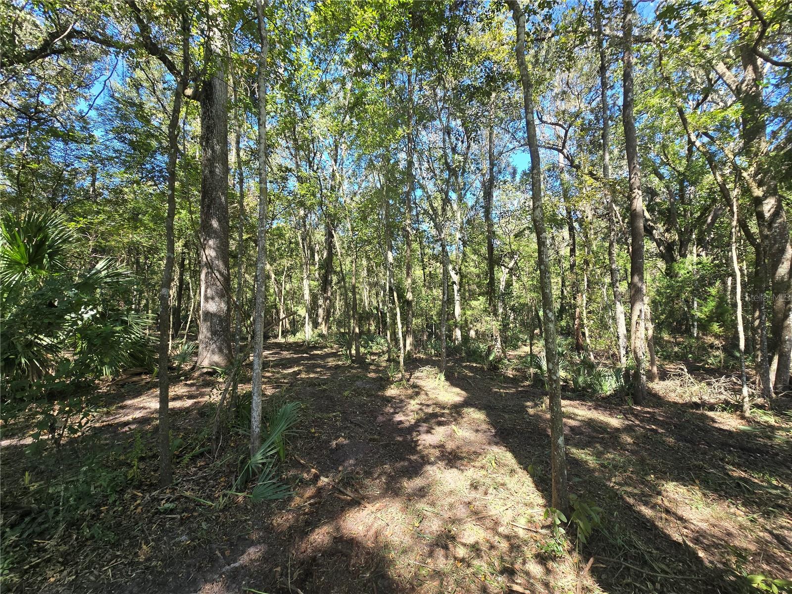 Image 21 of 30 For  Us 301