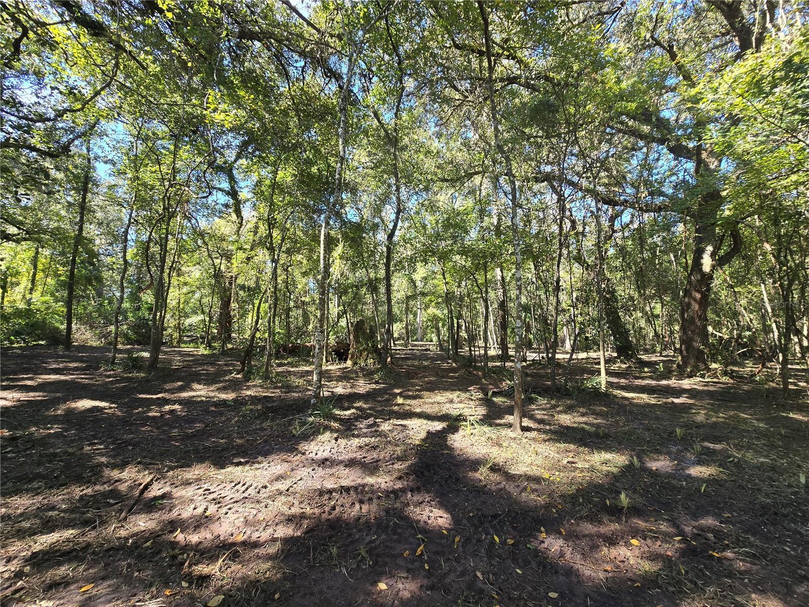 Image 22 of 30 For  Us 301