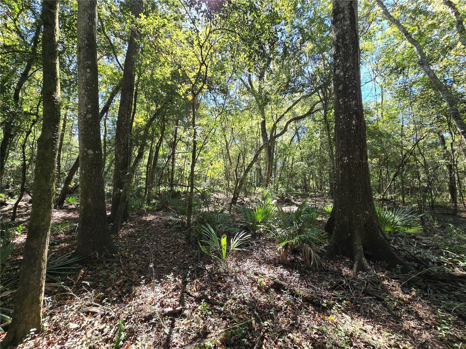 Image 23 of 30 For  Us 301