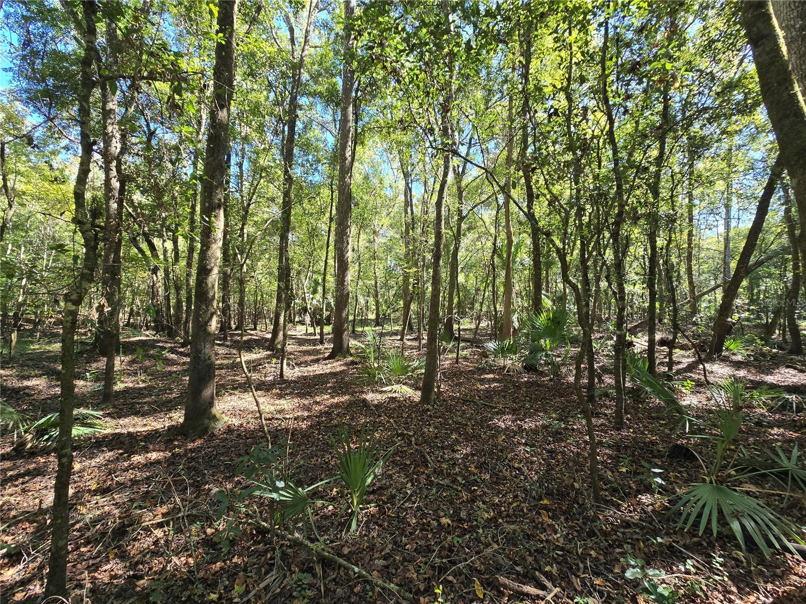 Image 24 of 30 For  Us 301