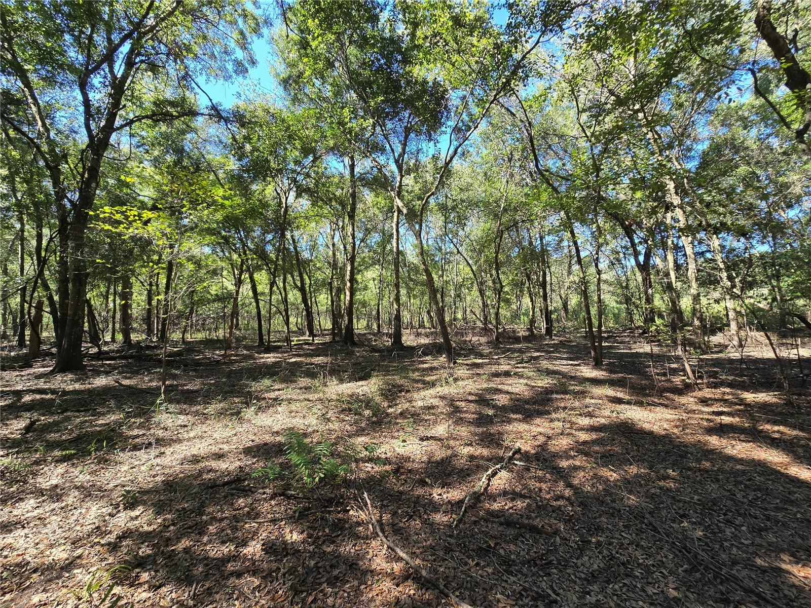 Image 25 of 30 For  Us 301