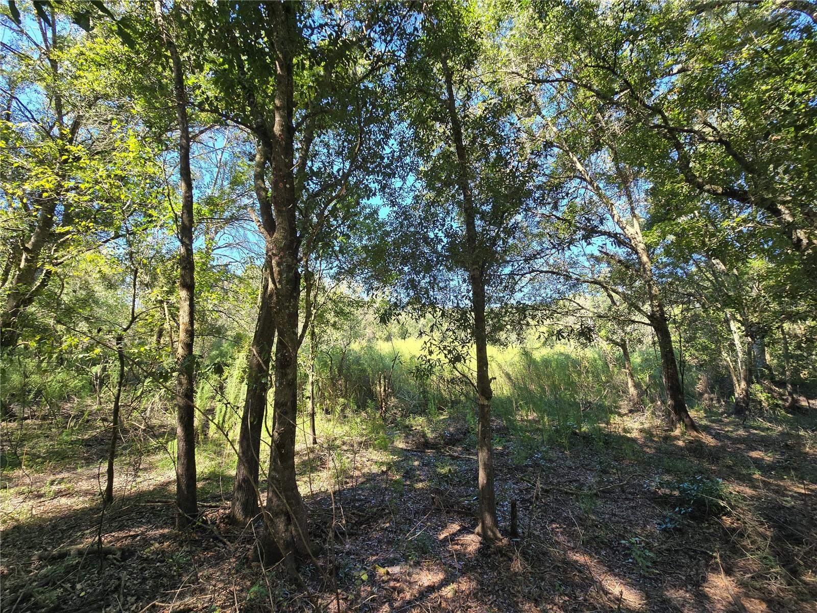 Image 26 of 30 For  Us 301