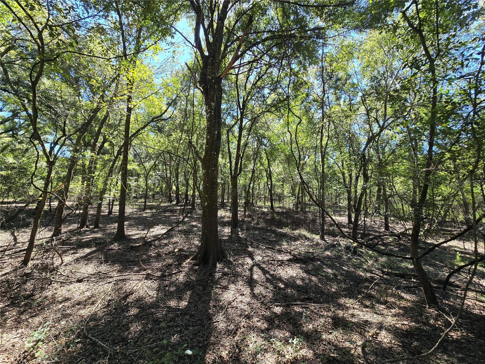 Image 27 of 30 For  Us 301