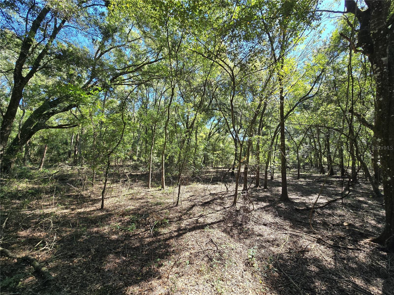 Image 28 of 30 For  Us 301