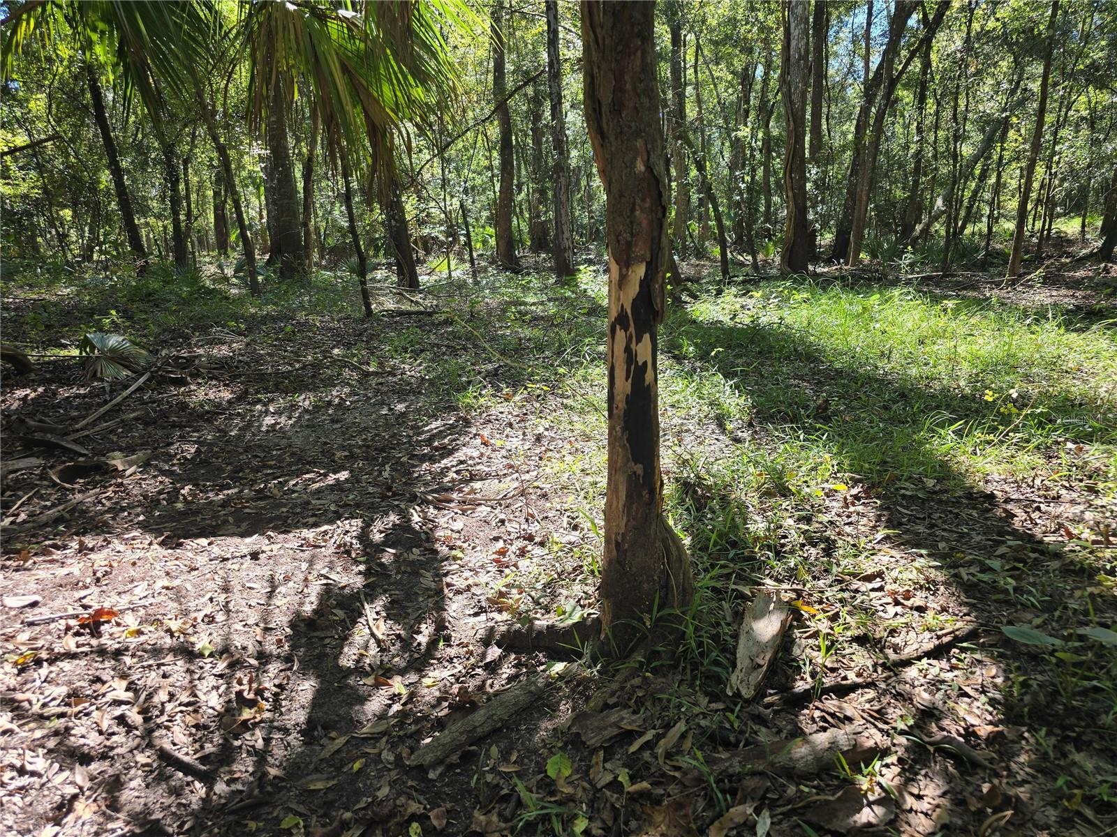 Image 29 of 30 For  Us 301