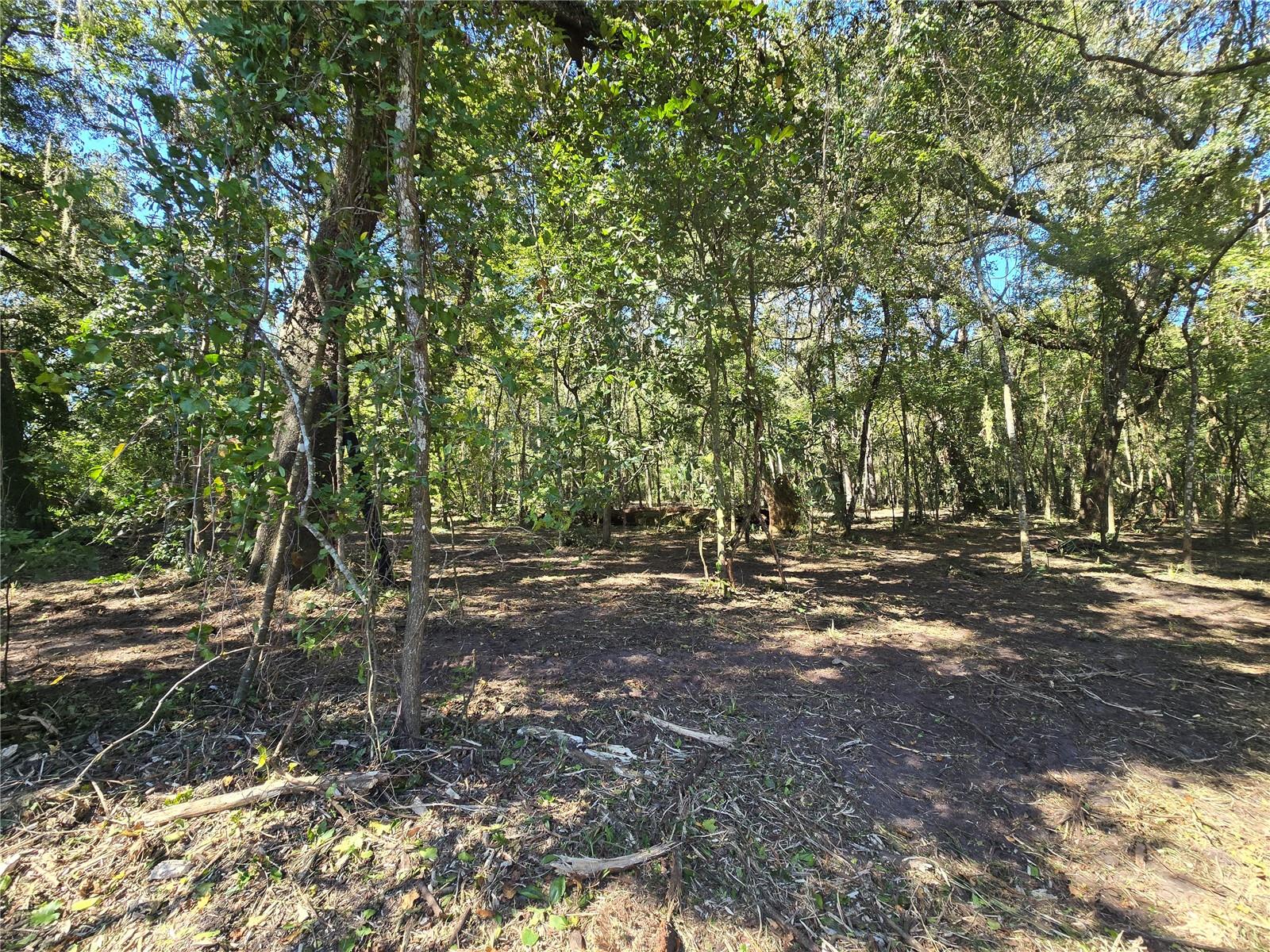 Image 5 of 30 For  Us 301