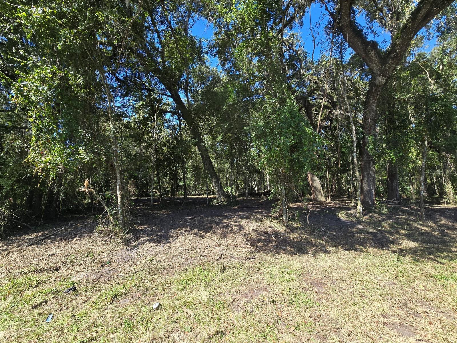 Image 6 of 30 For  Us 301