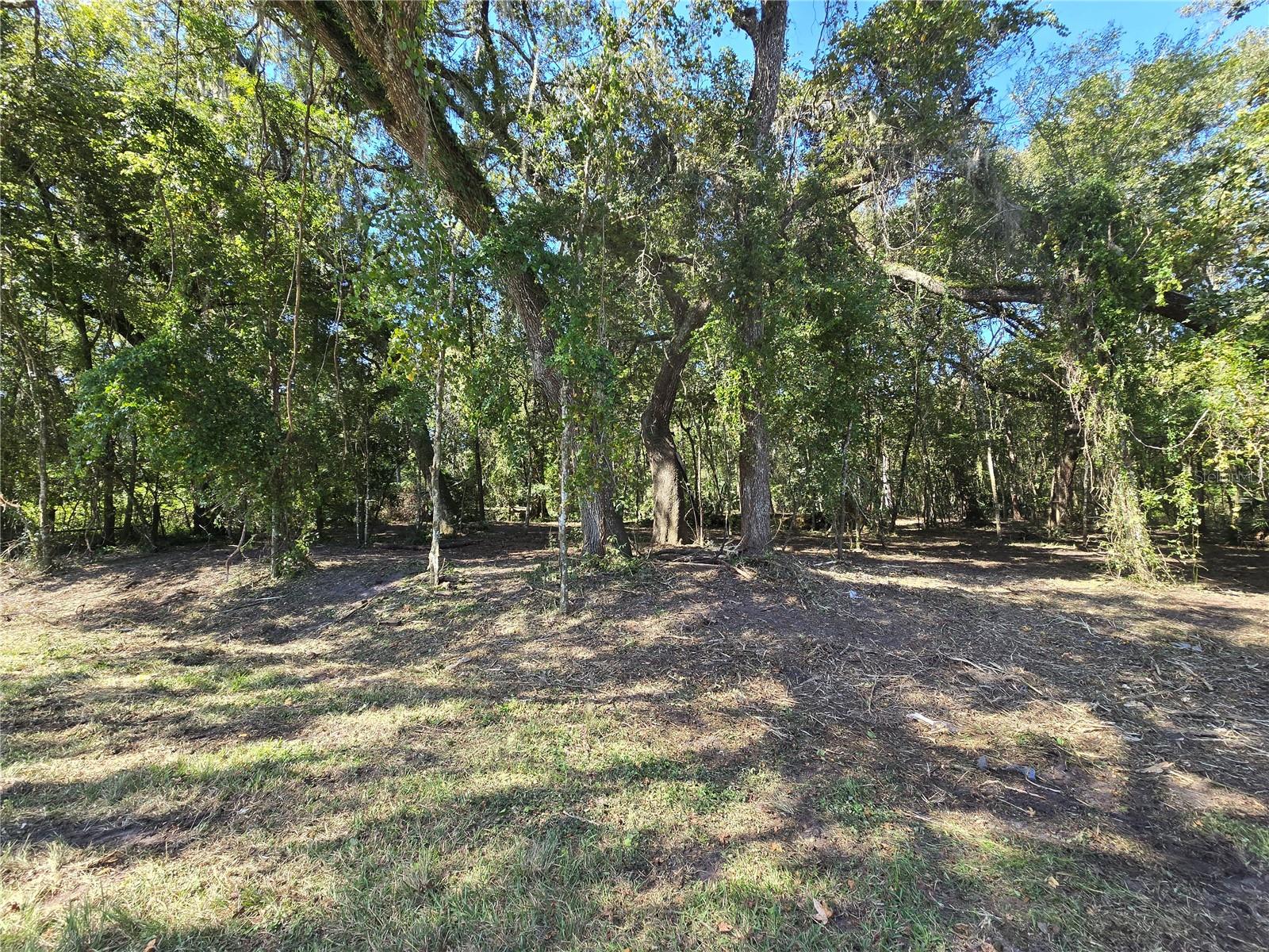 Image 8 of 30 For  Us 301