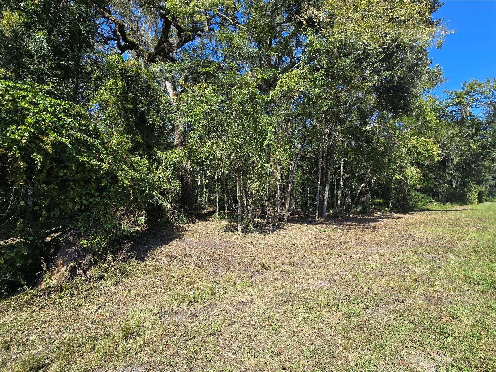 Image 9 of 30 For  Us 301