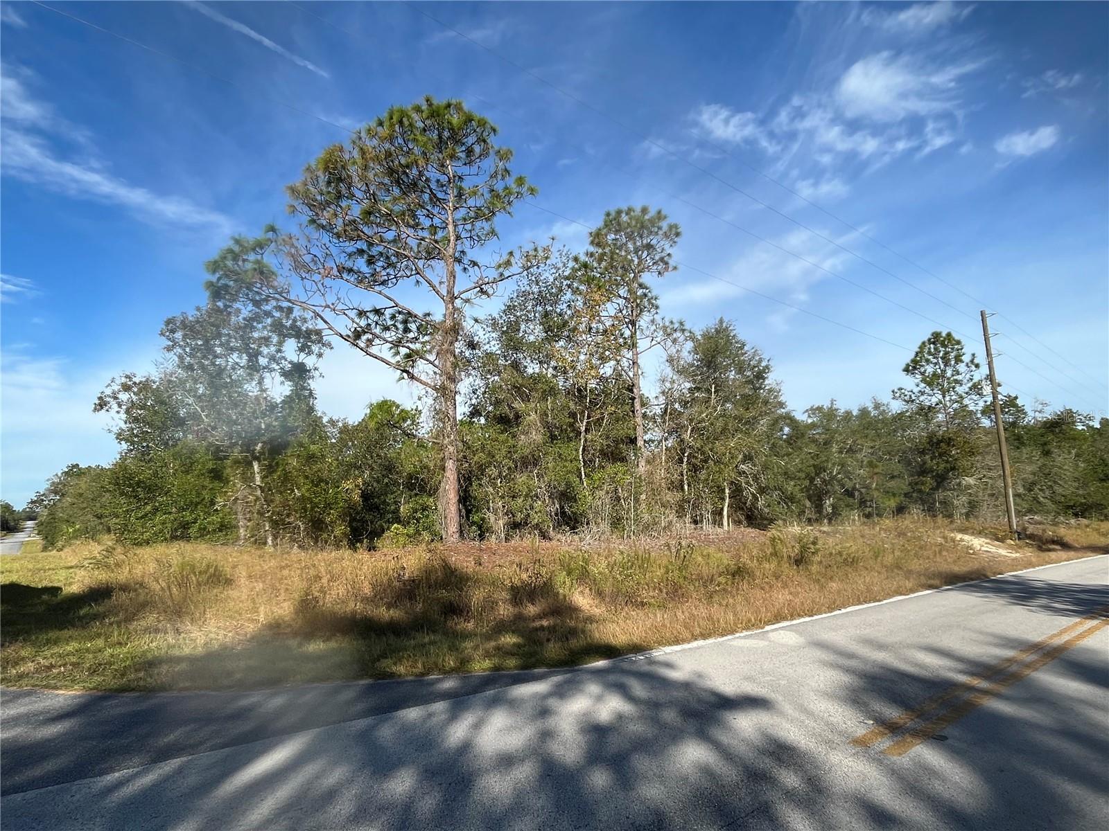Details for 00 Breezy Point Drive, DUNNELLON, FL 34431