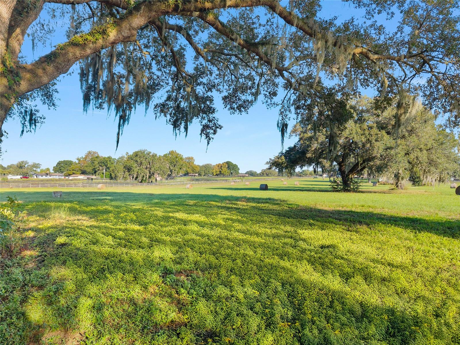 Image 10 of 26 For Tbd 100th Street