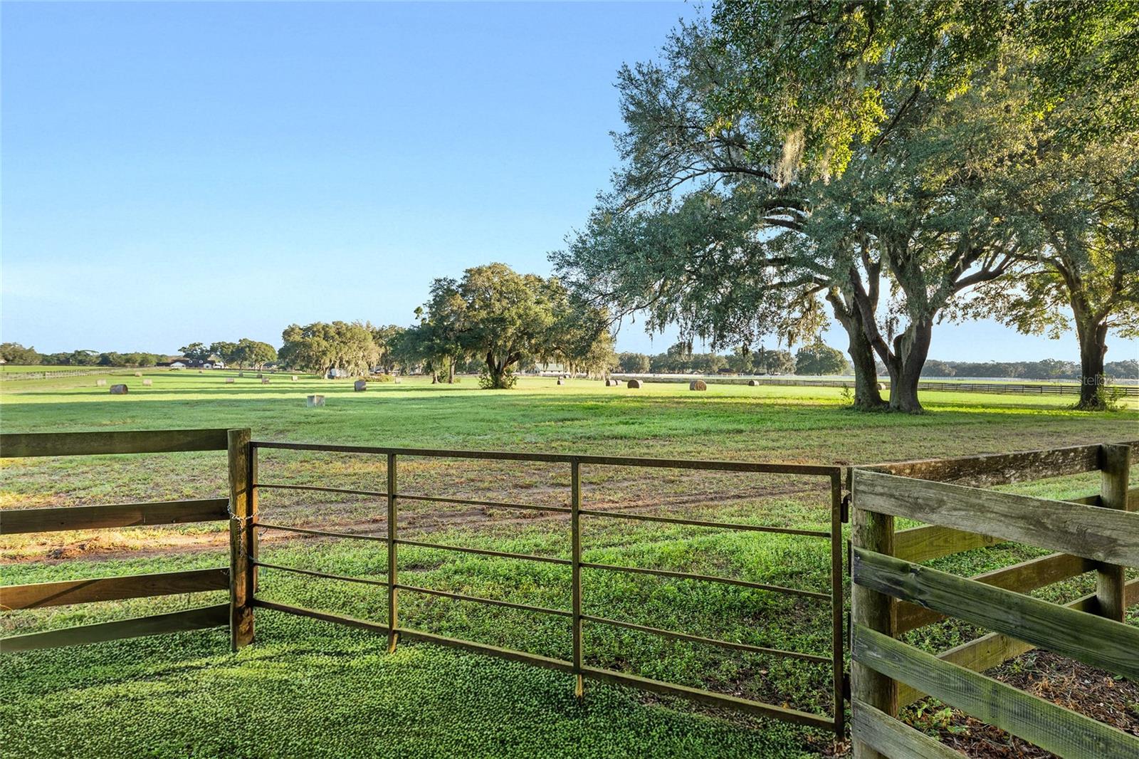 Image 25 of 26 For Tbd 100th Street