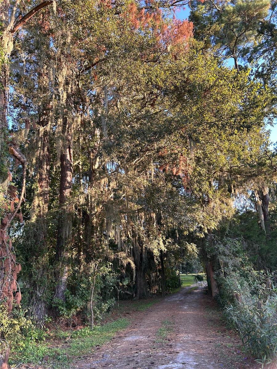 Image 4 of 12 For 7505 137th Avenue