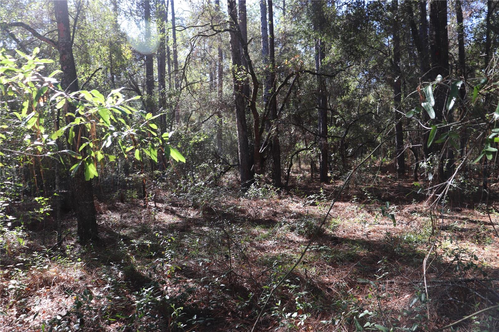 Details for 00 39 Street, DUNNELLON, FL 34432