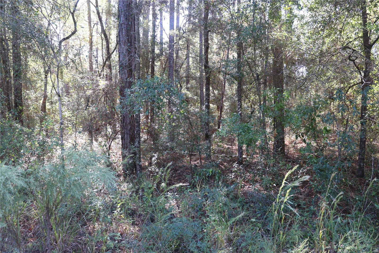 Image 2 of 6 For 00 39 Street