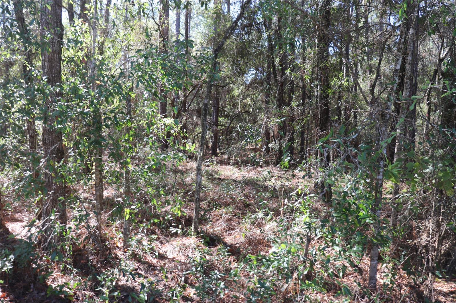 Image 3 of 6 For 00 39 Street