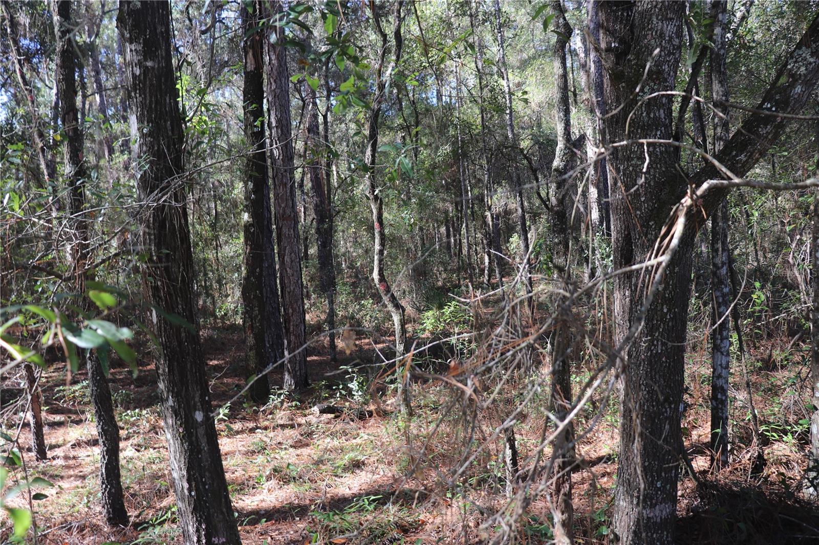 Image 4 of 6 For 00 39 Street