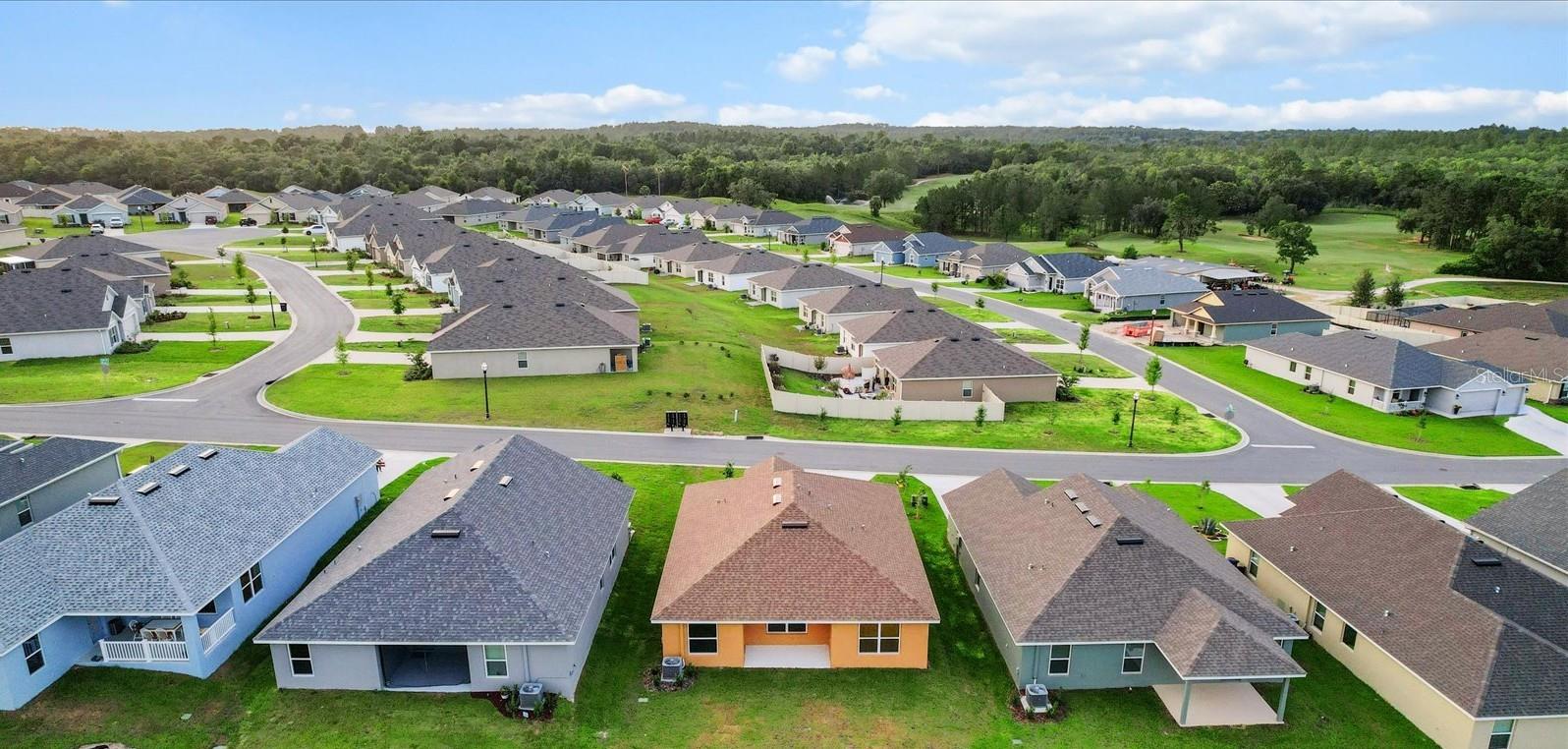 Image 42 of 46 For 439 Twisted Oaks Drive