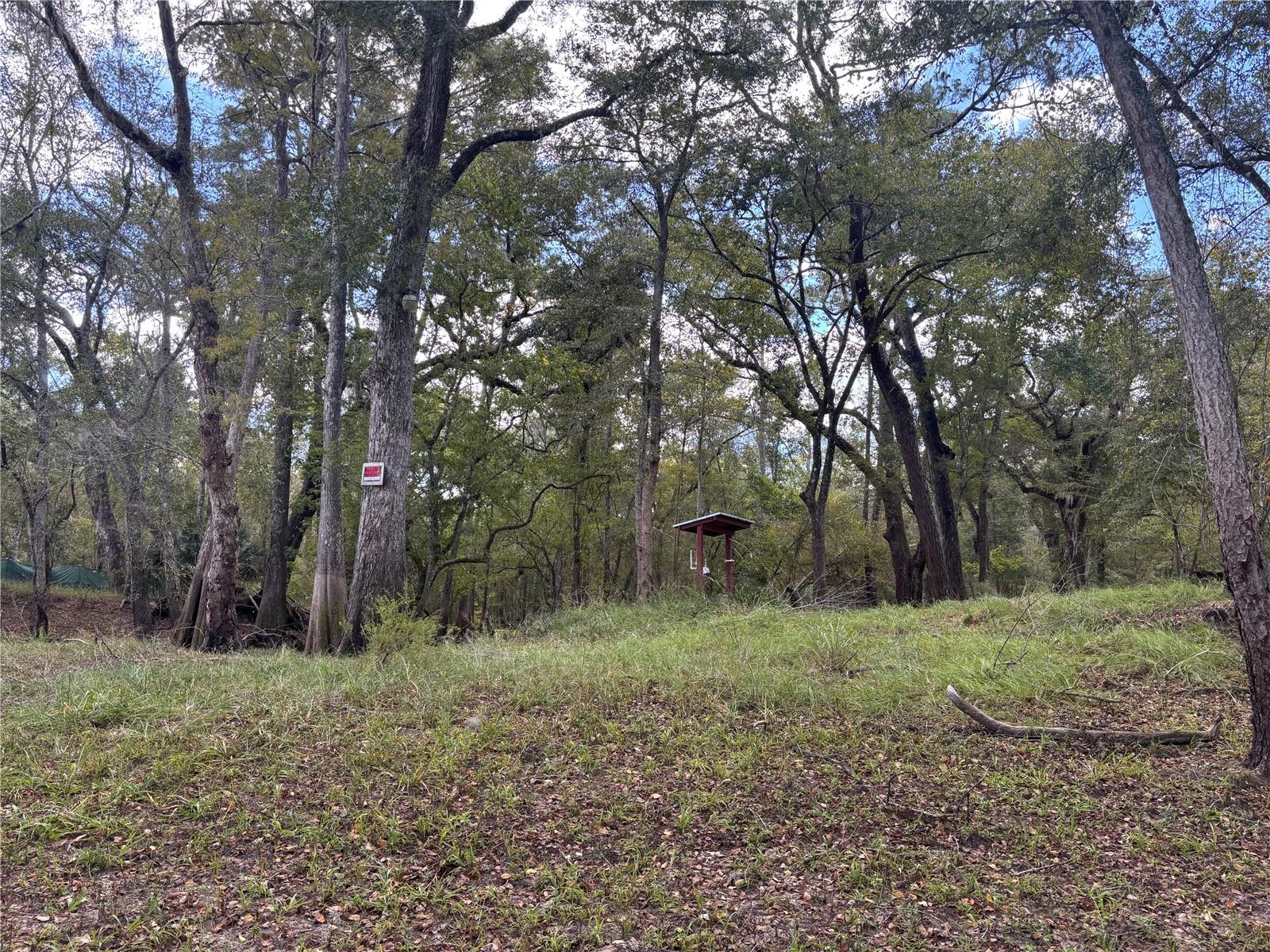 Image 7 of 12 For 1347 519th Avenue