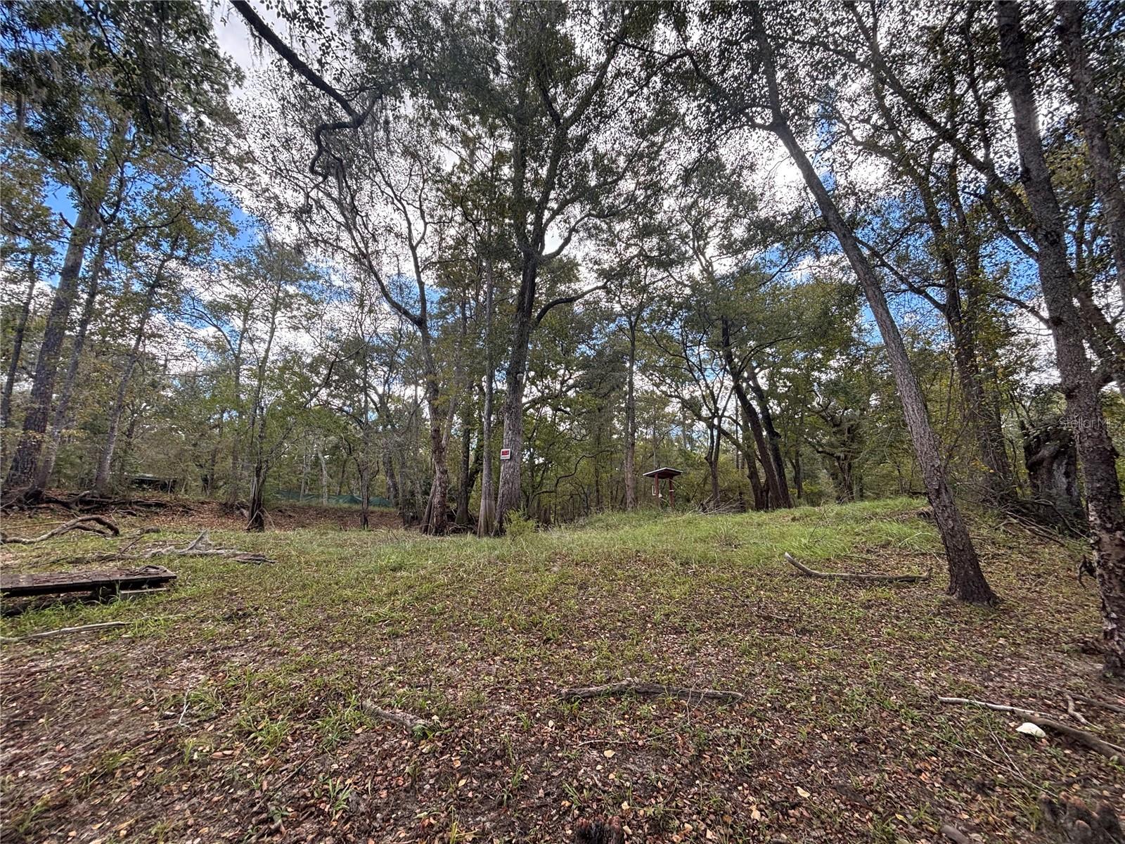 Image 8 of 12 For 1347 519th Avenue