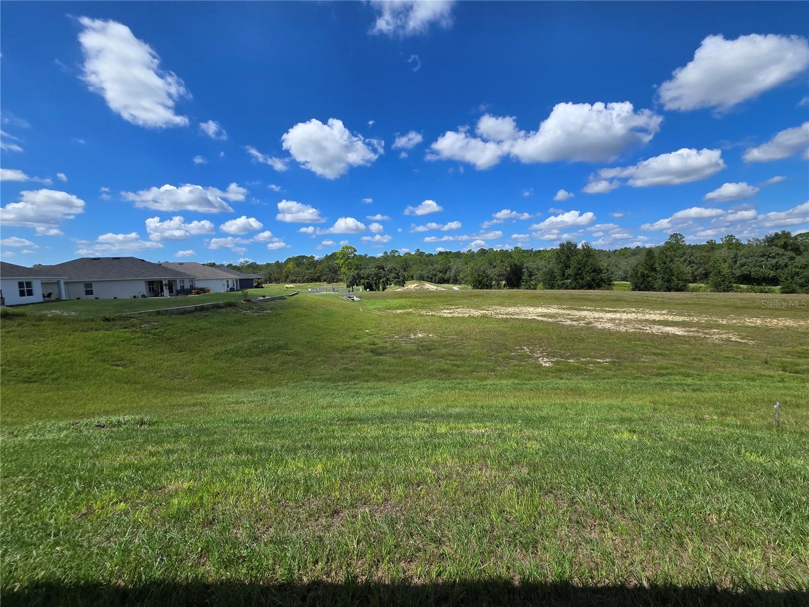 Image 34 of 43 For 427 Twisted Oaks Drive