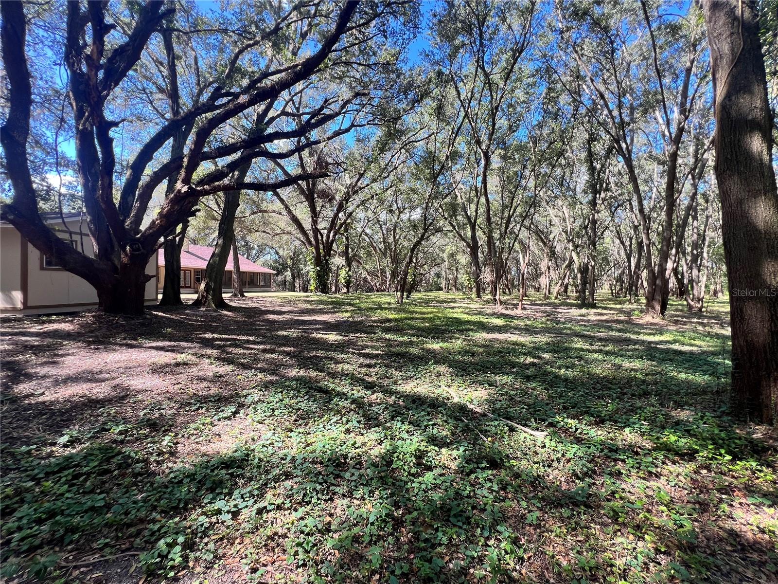 Image 23 of 28 For 14609 155th Street